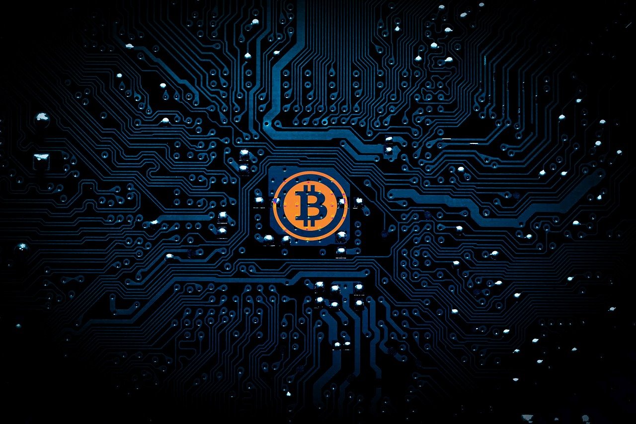 周嘉祯 第10页